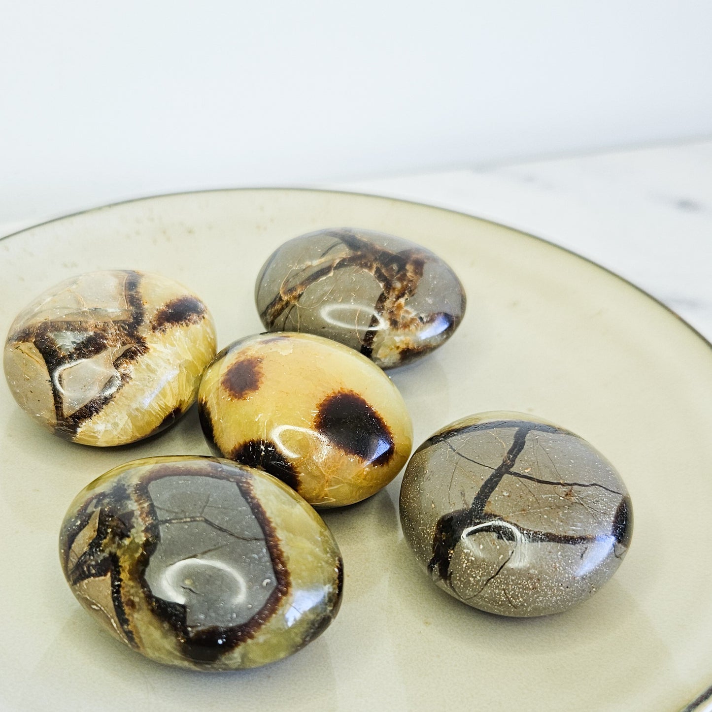 Septarian Palm Stones