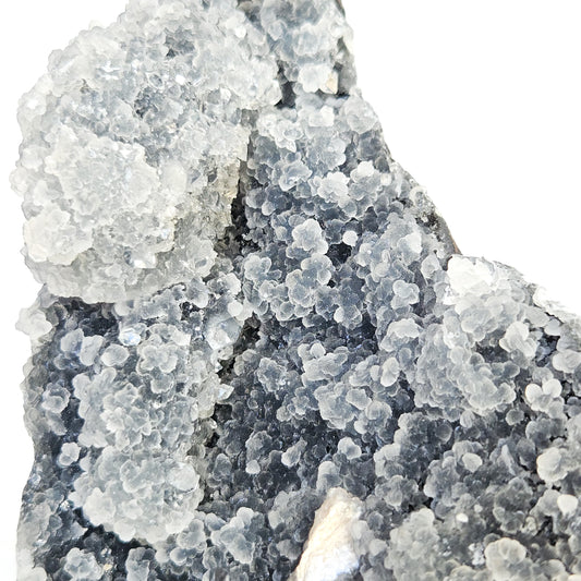 Black Chalcedony Cluster