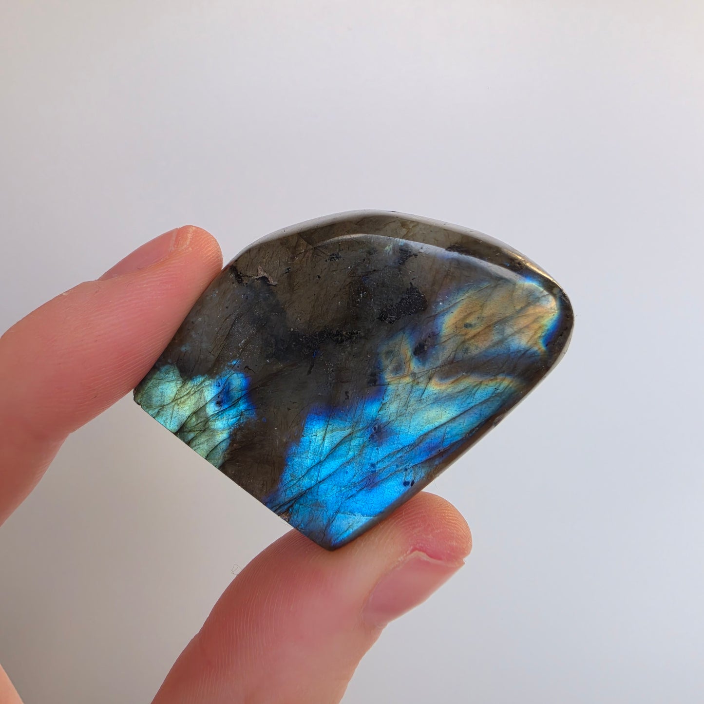 Labradorite Polished Freeform