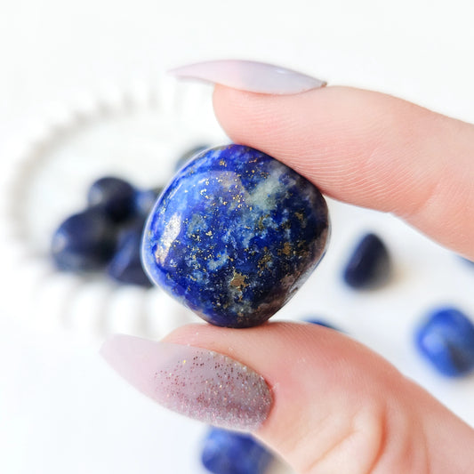 Lapis Lazuli Tumbled Stones In Hand