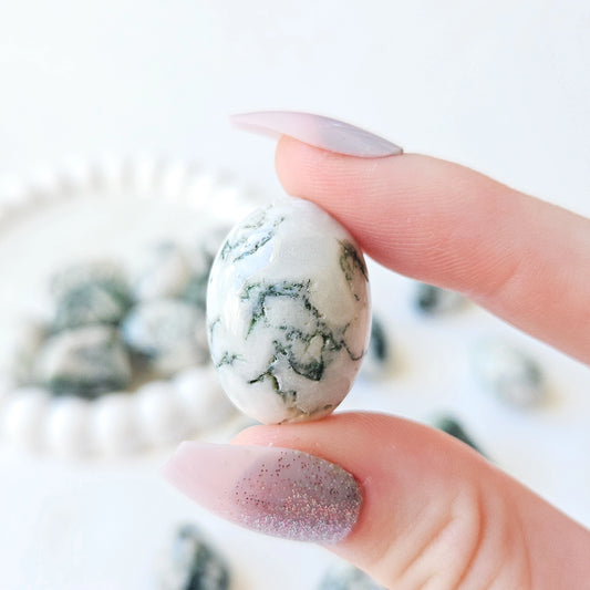 Tree Agate Tumbled Stones In Hand