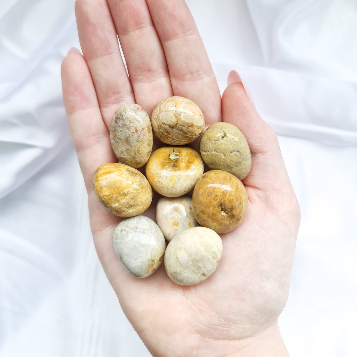 Fossil Coral Tumbled Stones
