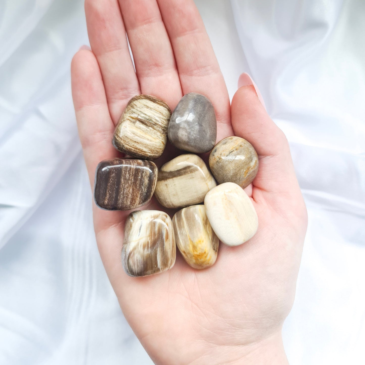 Petrified Wood Tumbled Stones