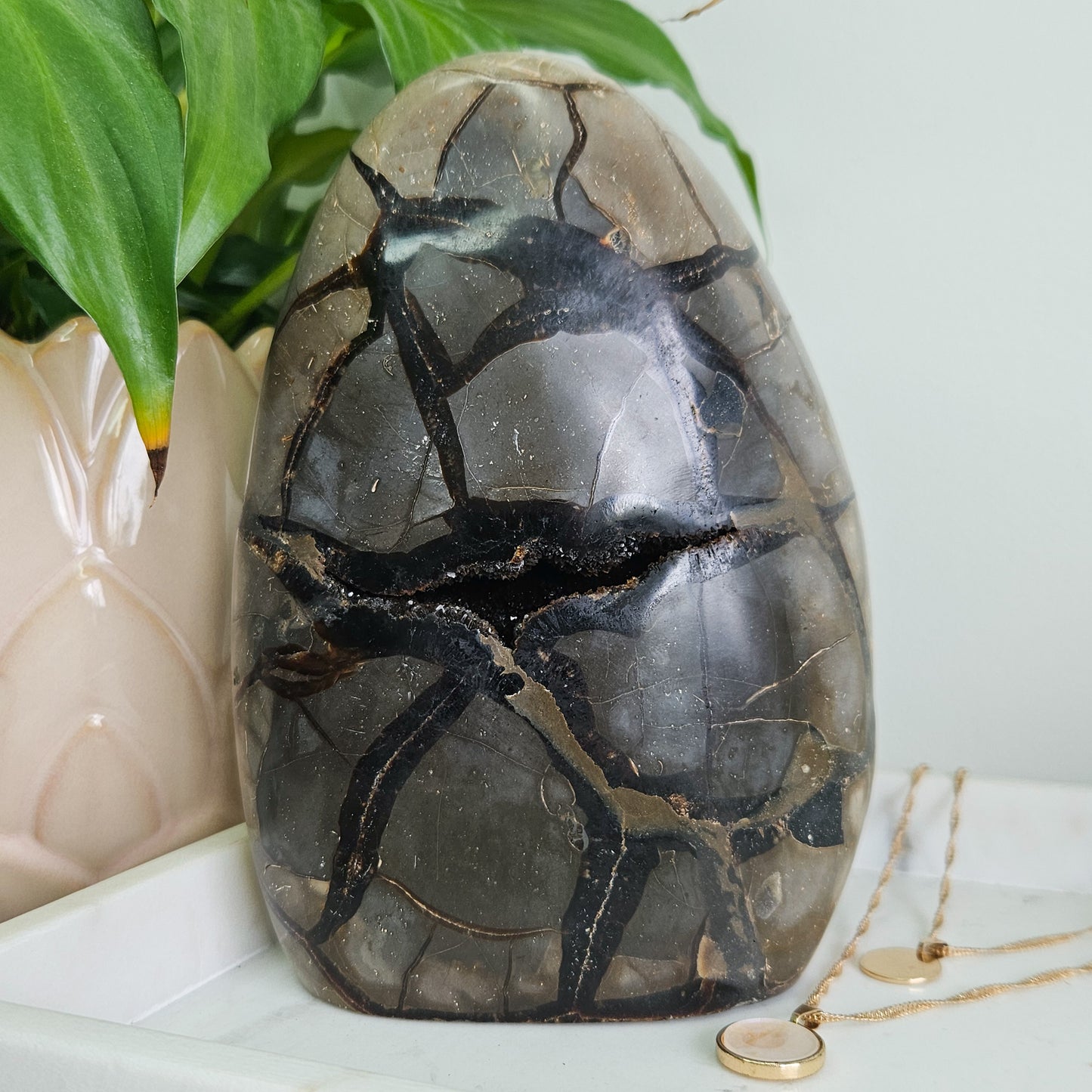 Septarian Freeform