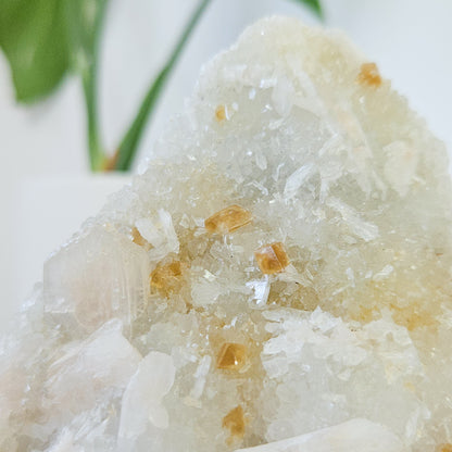 Honey Calcite On Druzy Quartz Cluster - RARE