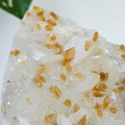 Honey Calcite On Druzy Quartz Cluster - RARE