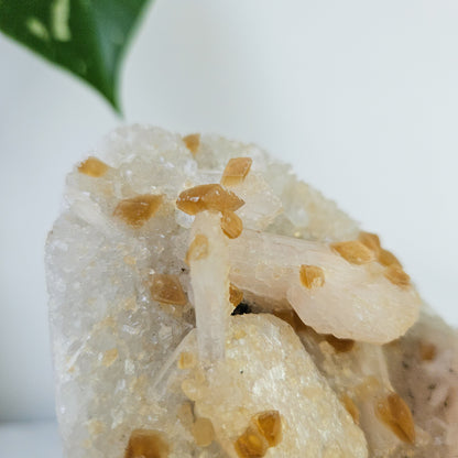 Honey Calcite On Druzy Quartz Cluster - RARE