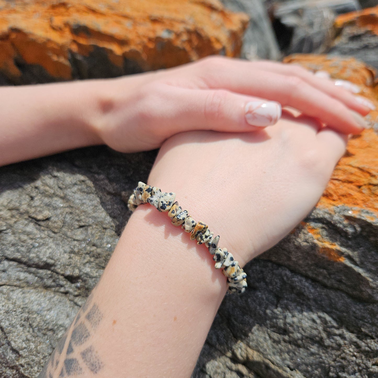 Dalmatian Jasper Chip Bracelet