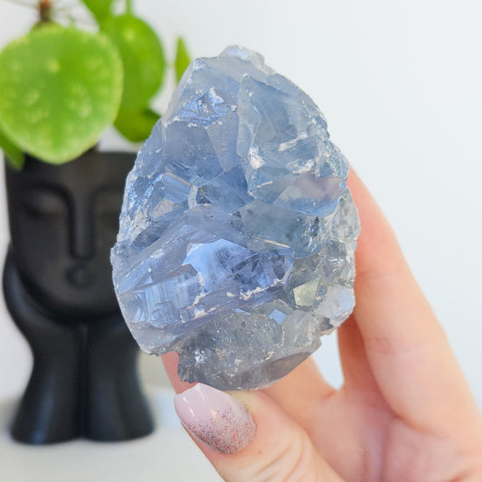 Celestite Cluster Egg