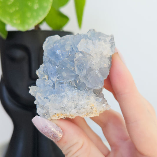 Celestite Cluster