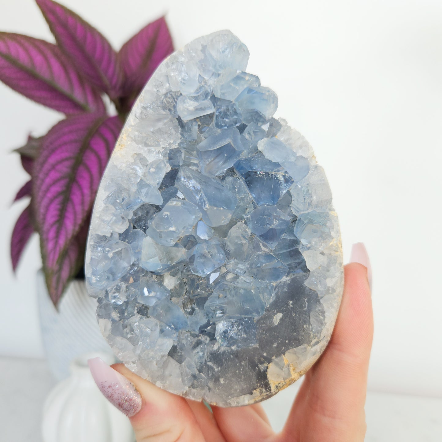 Celestite Cluster Egg