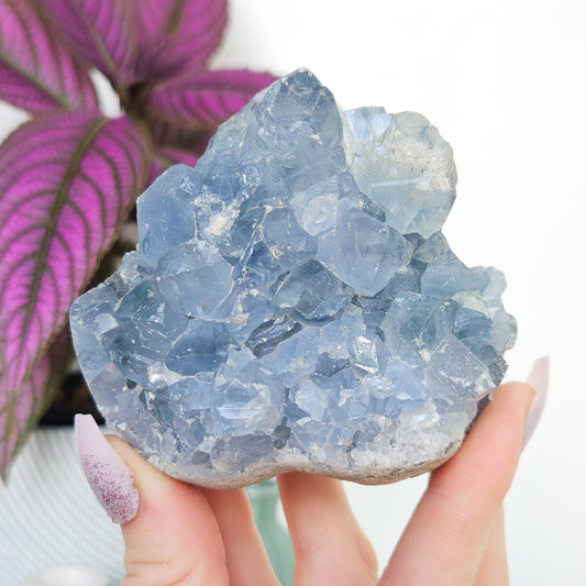 Celestite Cluster