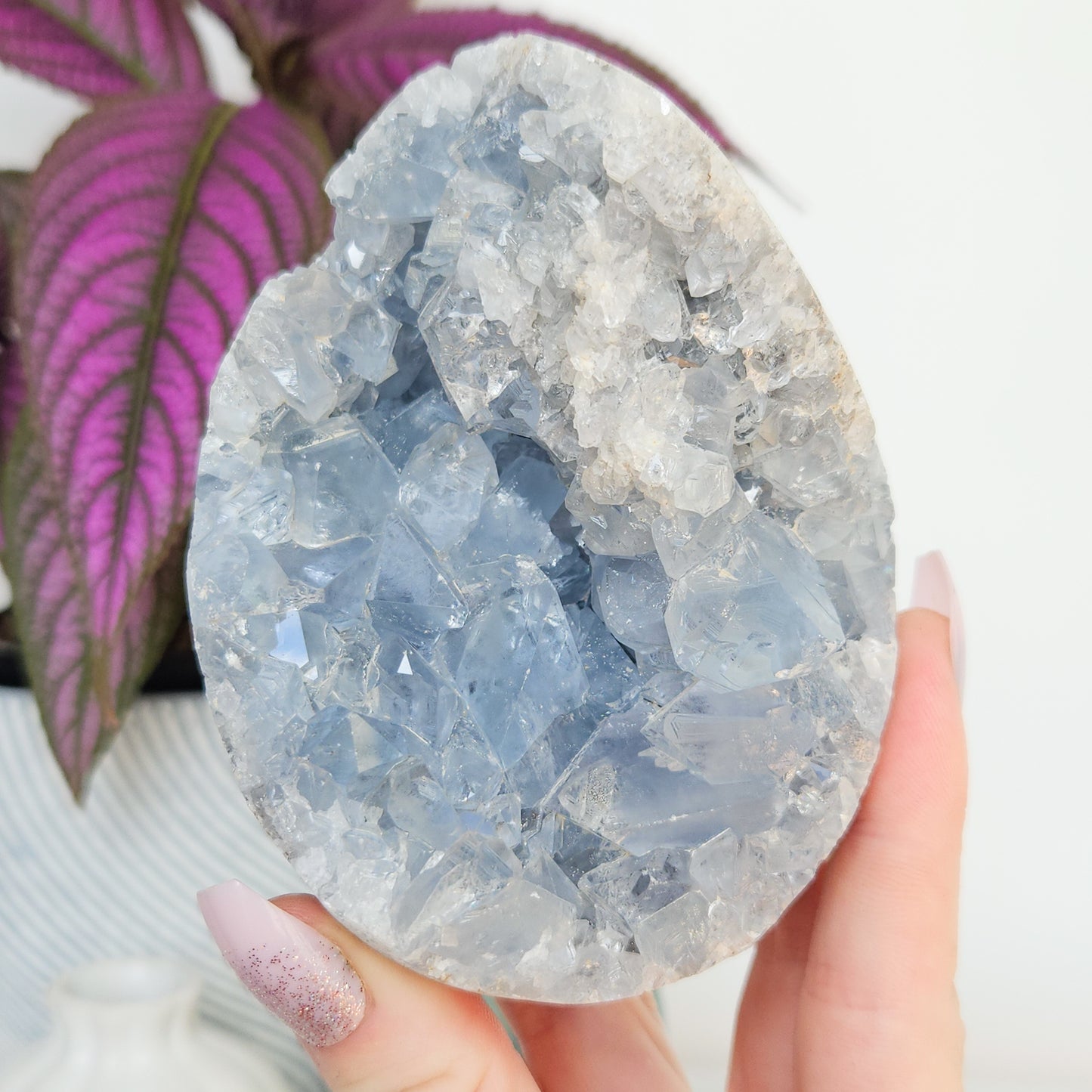 Celestite Cluster Egg