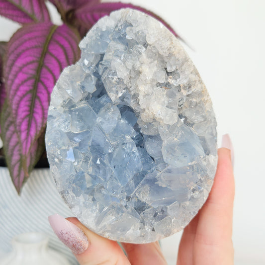 Celestite Cluster Egg