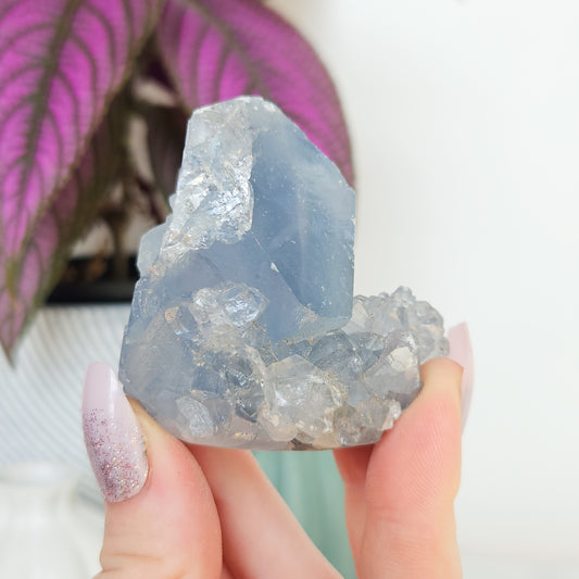 Celestite Cluster