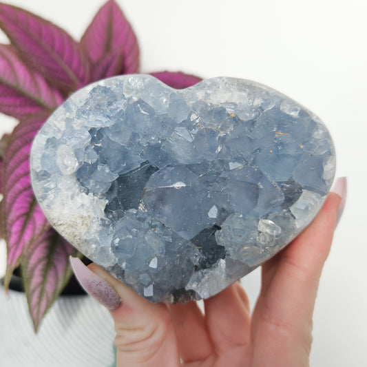 Celestite Cluster Heart