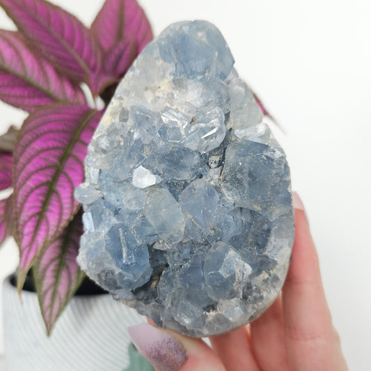 Celestite Cluster Egg