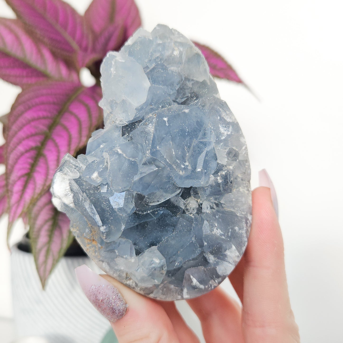 Celestite Cluster Egg