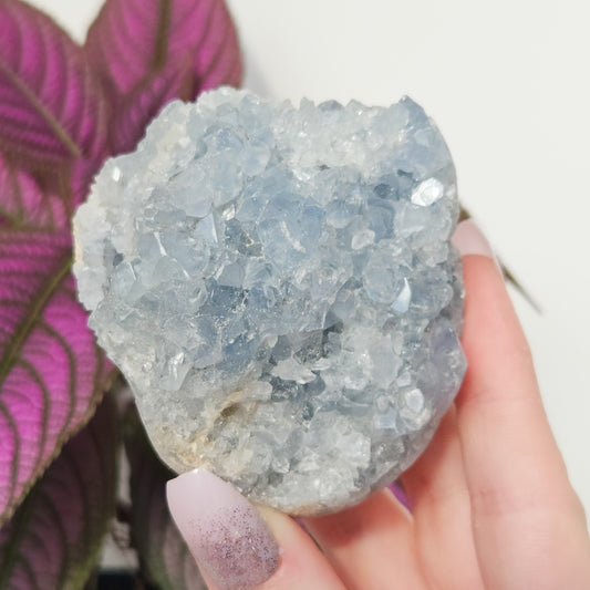 Celestite Cluster