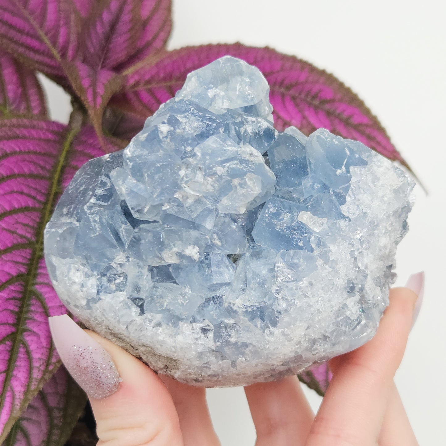 Celestite Cluster