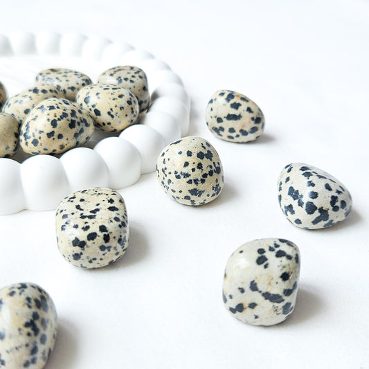 Dalmatian Jasper Tumbled Stones