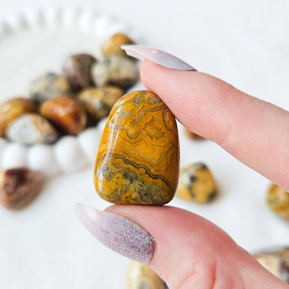 Crazy Lace Agate Tumbled Stones