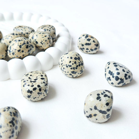 Dalmatian Jasper Tumbled Stones 