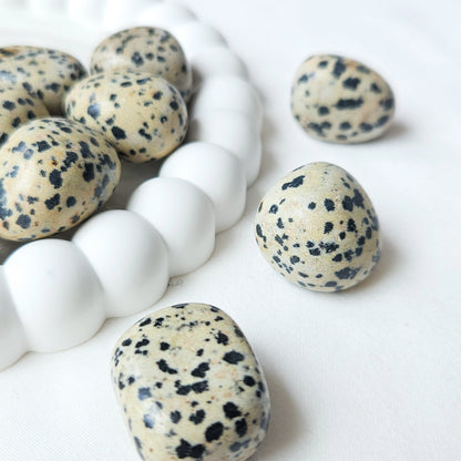 Dalmatian Jasper Tumbled Stones Close Up