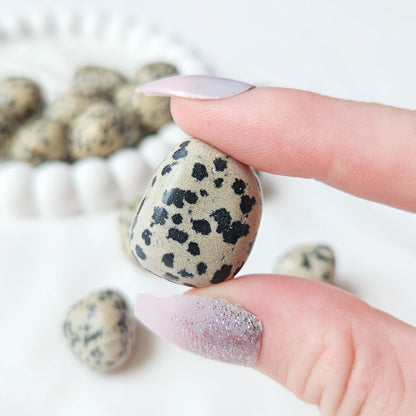 Dalmatian Jasper Tumbled Stones In Hand