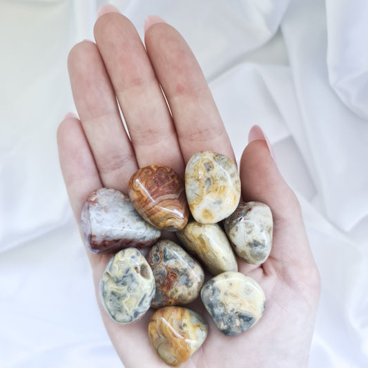Crazy Lace Agate Crystal Tumble Stones