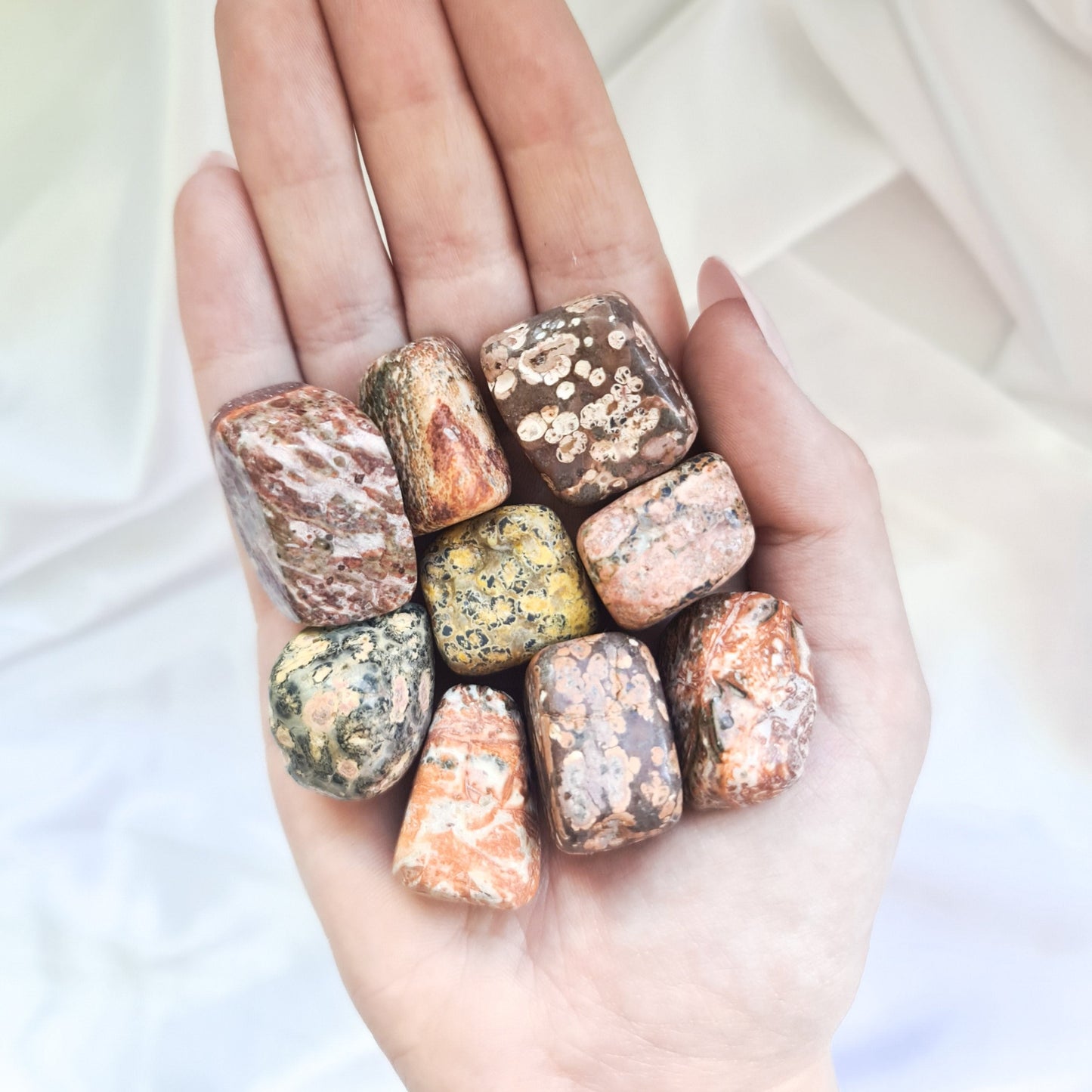 Leopard Skin Jasper Tumbled Stones