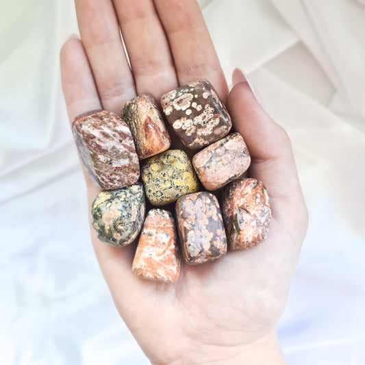 Leopard Skin Jasper Tumbled Stones