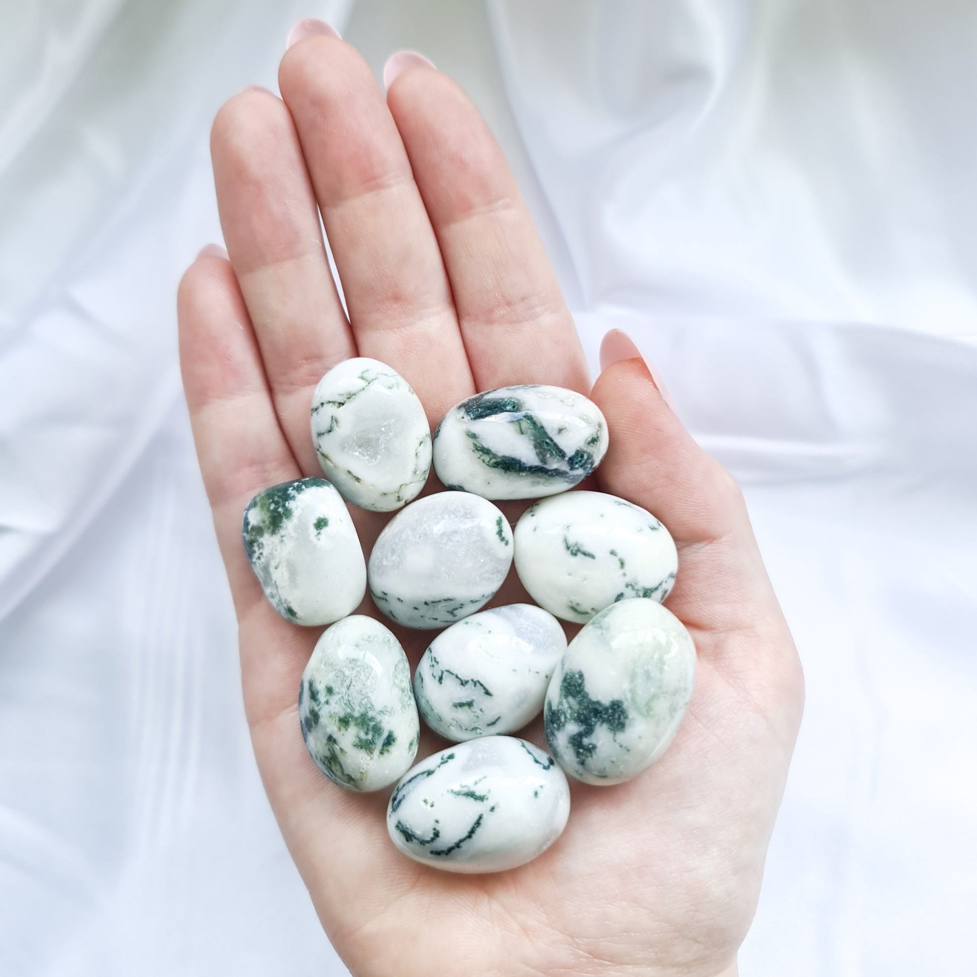 Tree Agate Tumbled Stones