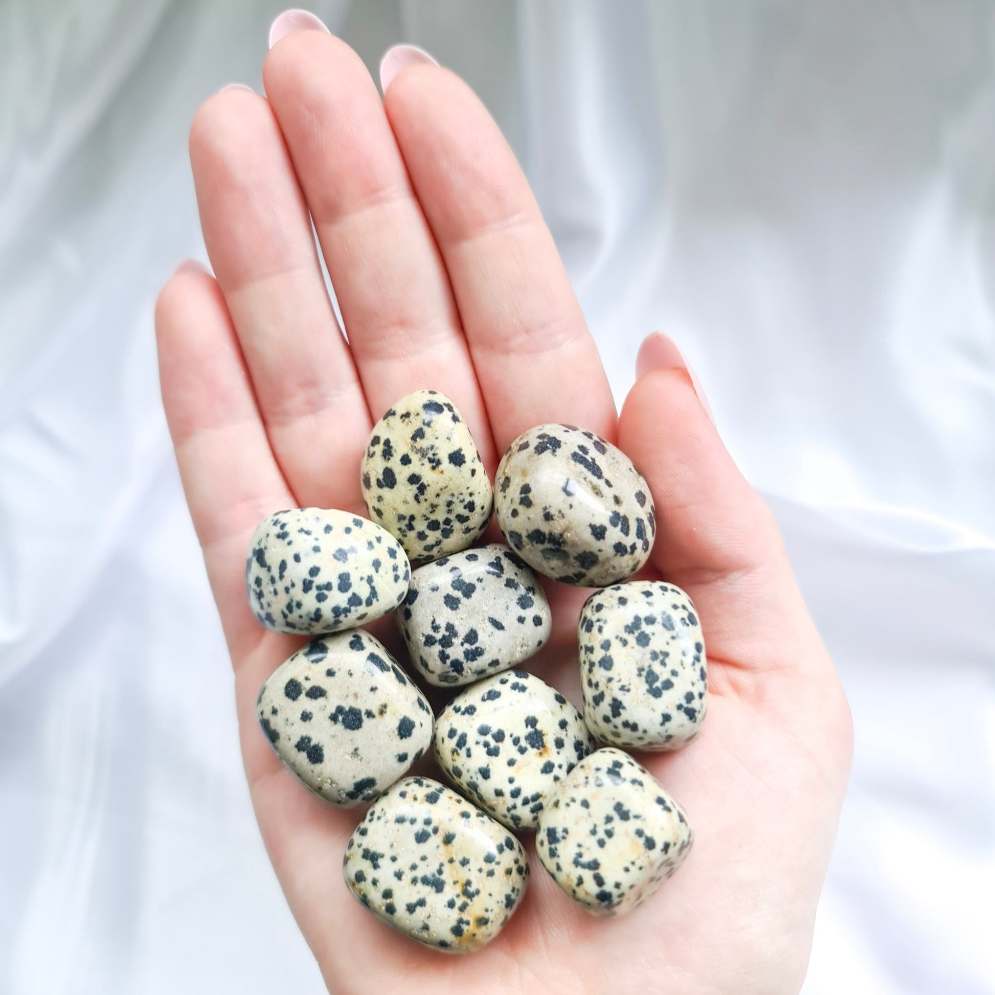 Dalmation Jasper Crystal Tumble Stones